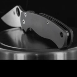 Titech Para Military 2 Plain Titanium Scales -Victorinox Sales HH SC P P2det2 59477.1636458827