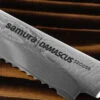 Samura Damascus Bread Knife 1 Samura Damascus Bread Knife -Victorinox Sales TC SD 0055 22185.1685974236