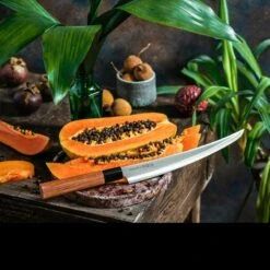 Samura Okinawa Slicing Tanto -Victorinox Sales tc so 0146tdet6 69051.1587419957